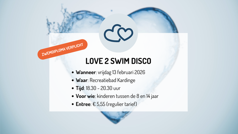 Love 2 Swim disco banner website