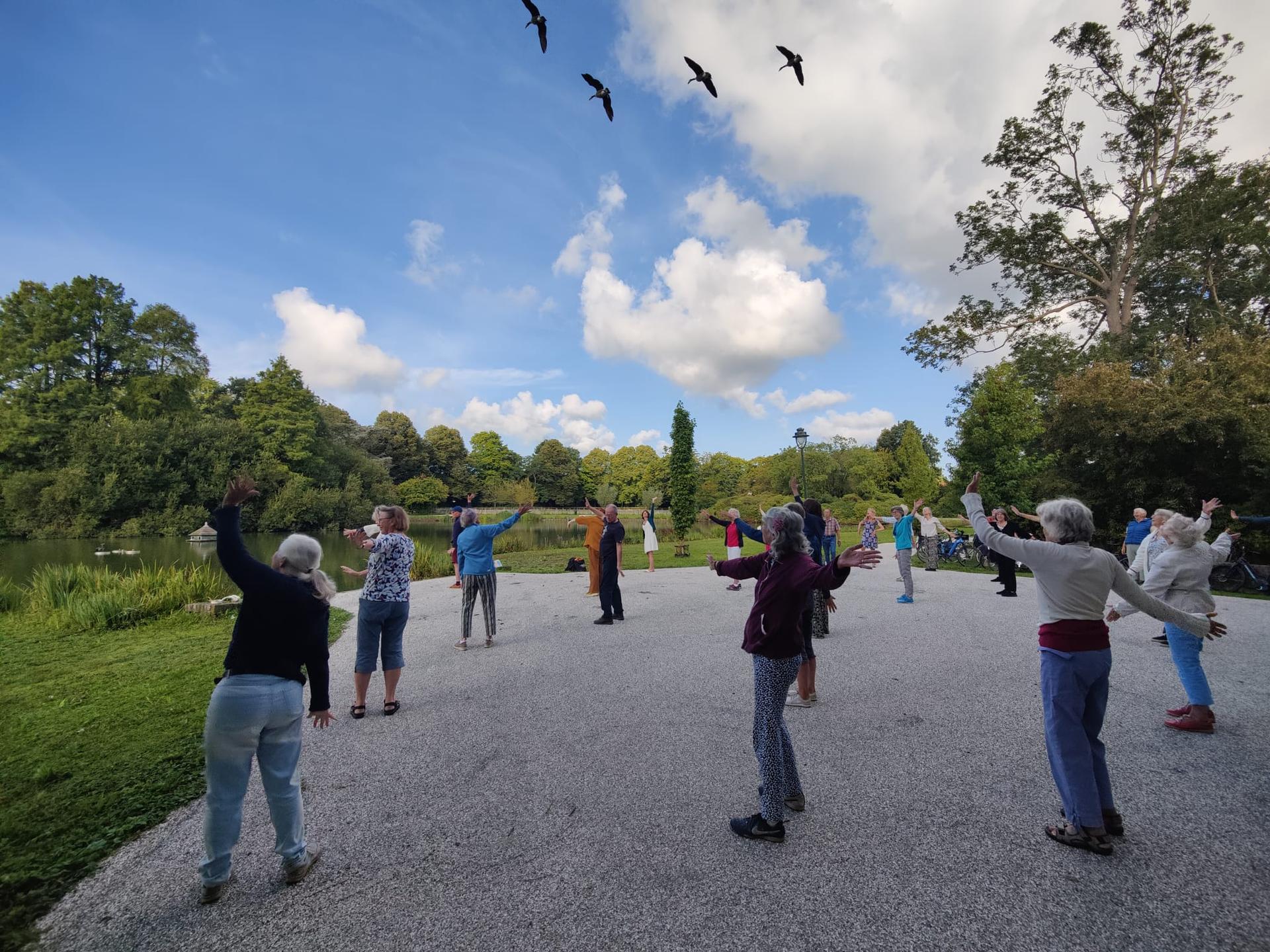 Boeremapark met vogels van Lisa.jpg