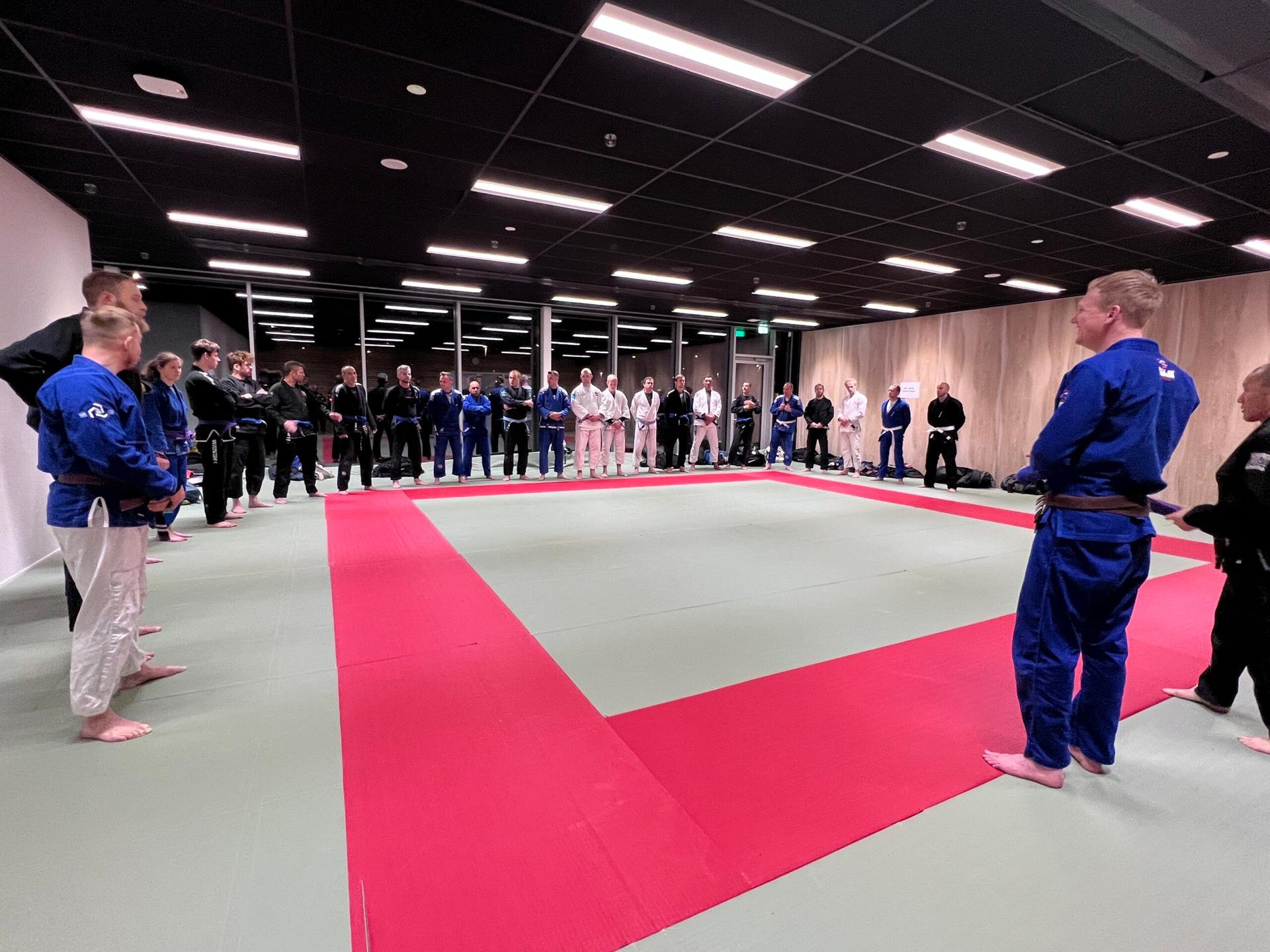 Dojo Europapark