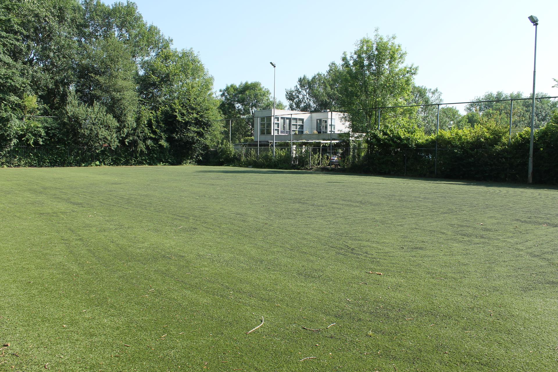 Sportpark Selwerd kunstgrasveld