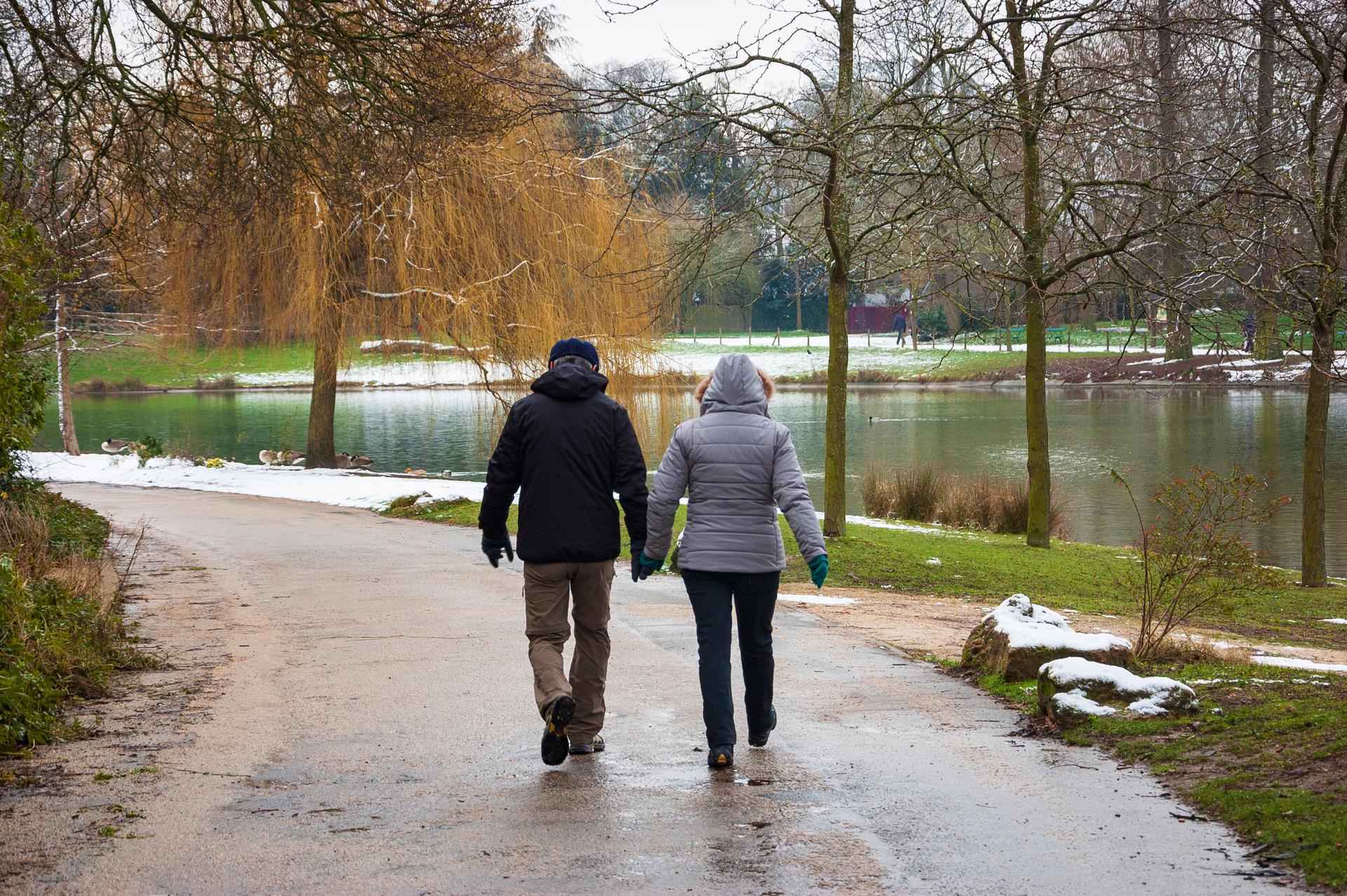 Wandelen in bos