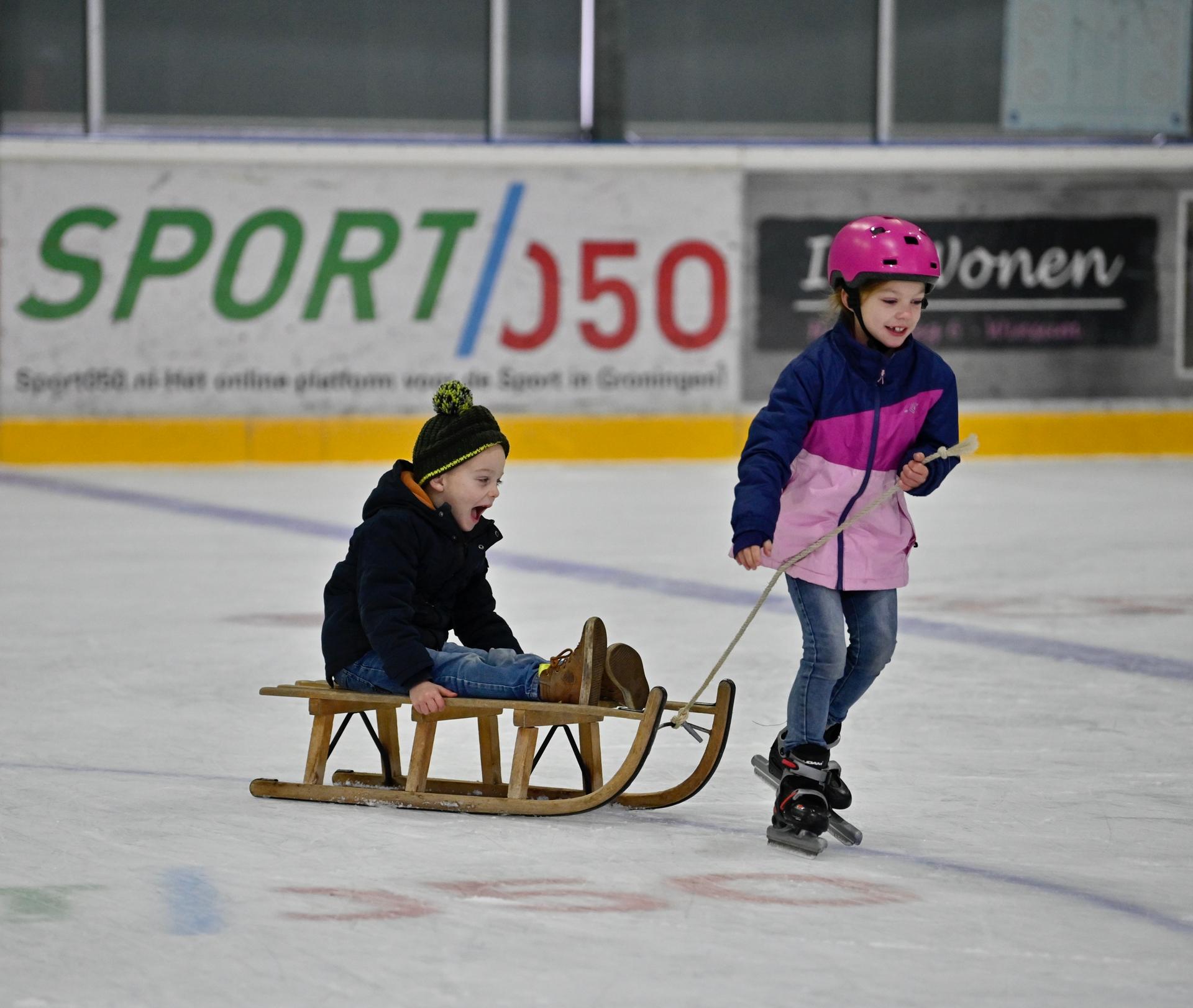 Kinderen op slee