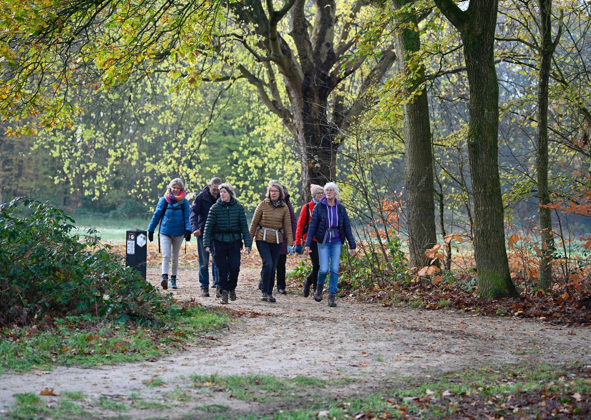 Wandelen