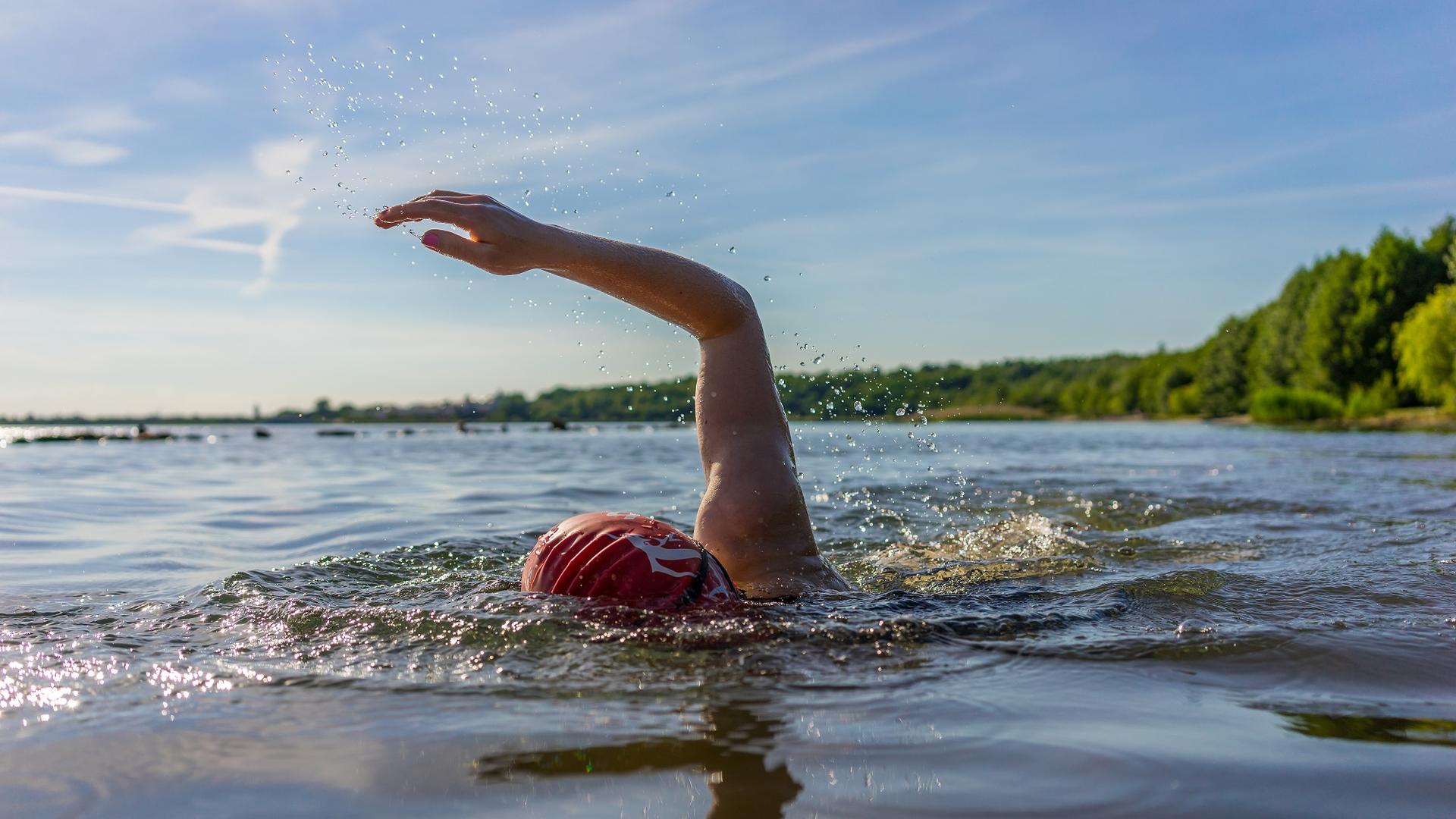 buiten zwemmer meer