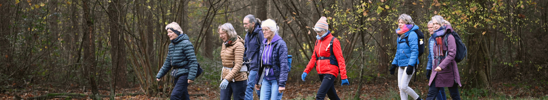 loopsport: wandelen