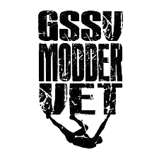 G.S.S.V. Moddervet