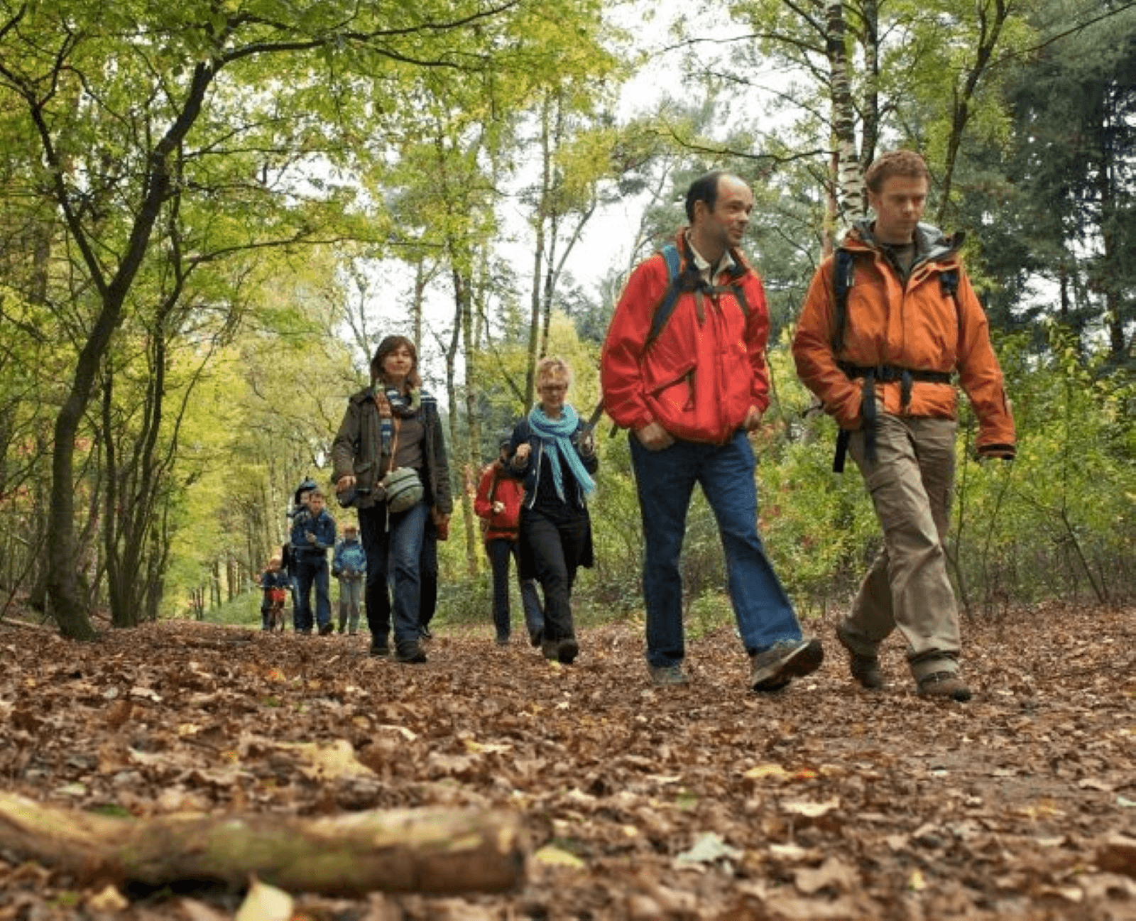 wandelen.jpg