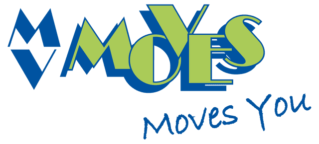 Logo MV Moves transparante achtergrond.png