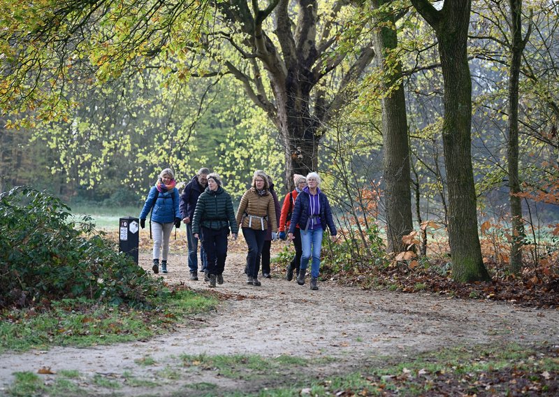 Wandelen